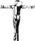 Uživatelský avatar